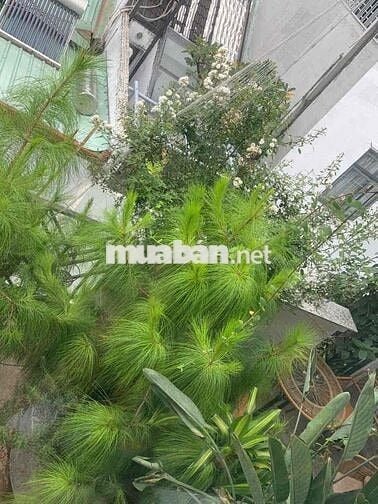 🏠 Phòng trọ 40m2 đường Ung Văn Khiêm, Q.Bình Thạnh ✨