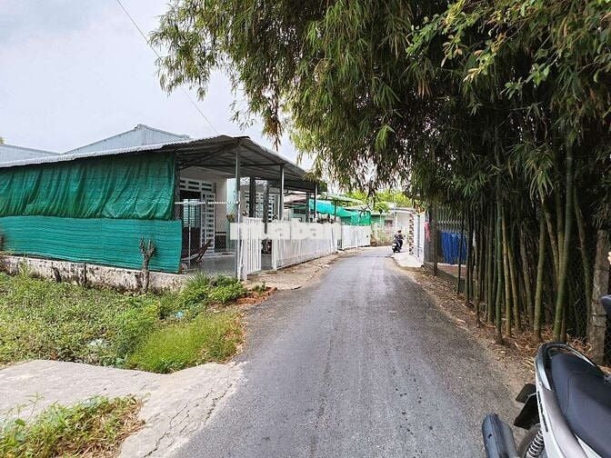 Đất diện tích lớn giá rẻ bán gấp