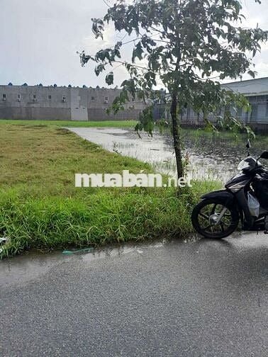 Đất 15 x 59 (896m2) đường nhựa thông,gần ngã 3 Mỹ Hạnh