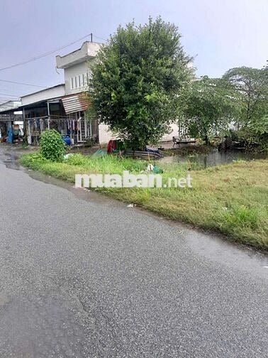 Đất 15 x 59 (896m2) đường nhựa thông,gần ngã 3 Mỹ Hạnh