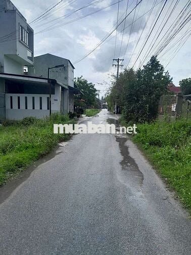 Đất 15 x 59 (896m2) đường nhựa thông,gần ngã 3 Mỹ Hạnh