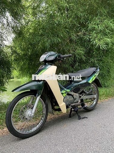 Xipo Xanh rêu phong cách zin sạch keng