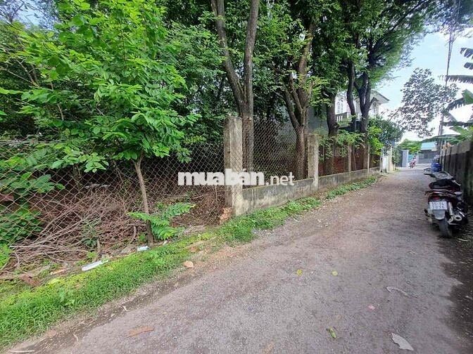 không có lô thứ 2 bán đất dt 400 m ngang 11 m giá 16,2 tr / m
