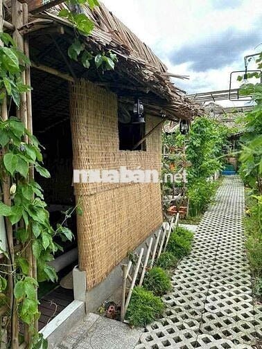 không có lô thứ 2 bán đất dt 400 m ngang 11 m giá 16,2 tr / m