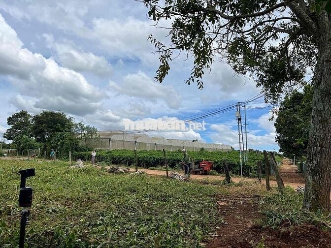 ĐẤT BÌNH THẠNH CÁCH SÂN BAY 11KM GIÁ CHỈ 790TR