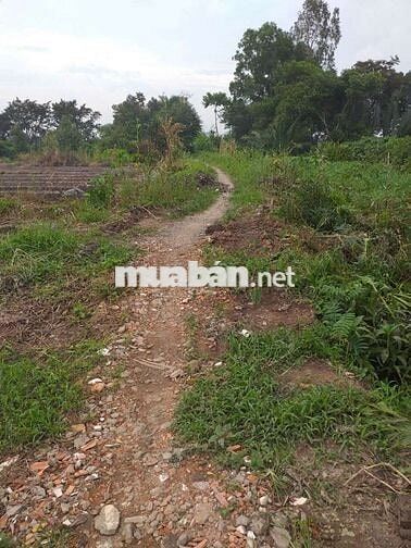 Bán 5000m2 Mặt Tiền qlo91b ngang 48m giá 4.9tr/m2 có bán lẻ