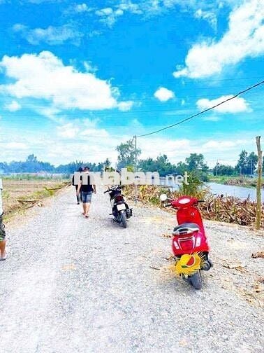 Hàng đầu tư F0 - Đất vườn MT nhựa ĐT.816 giá chỉ 8xxtr/lô