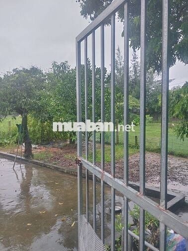 Đất sổ đỏ ~750m2 chính chủ Ý Yên