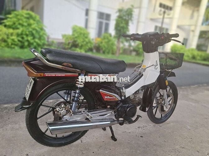 ZIM HÀN QUỐC . BS 60 CÀVET ĐẦY ĐỦ .