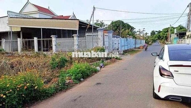 Đất thổ cư kh qua tay cò lái, mặt tiền đường sổ sẵn