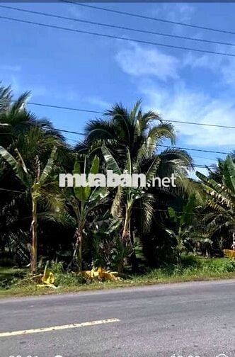 MẶT TIỀN QL57 B PHÚ TÚC BẾN TRE