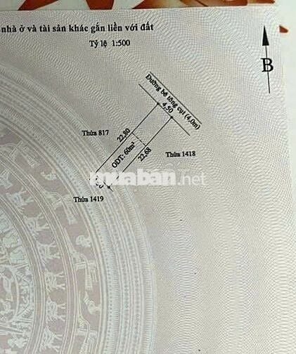 🚗 BÁN ĐẤT AN THẠNH – GIÁ 2 TỶ 2 – 102m² (4,5x23m)