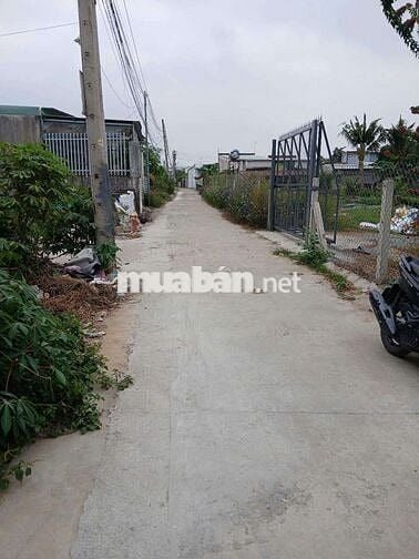 Nhà sổ riêng thổ cư Phường Tân Triều