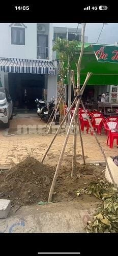 CHO THUÊ NHÀ NGUYÊN CĂN 2 MẶT TIỀN 26m VÀ 1 MẶT HẺM 4m.