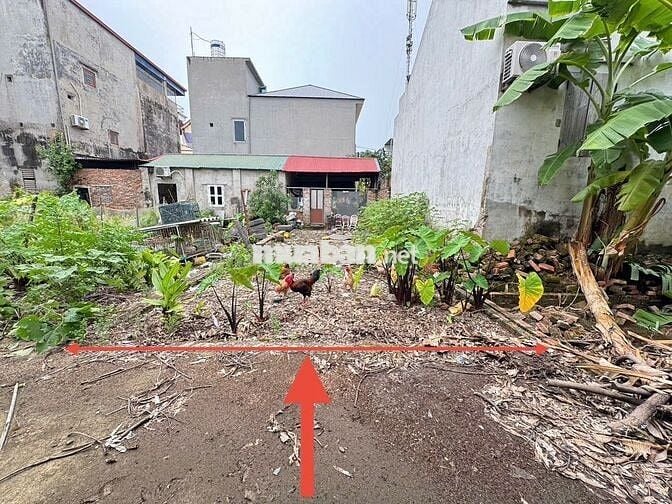 Bán 52,5m đất Bạch Đa, Kim Hoa, ML. Gần đường vành đai 4 và CTy HonDa