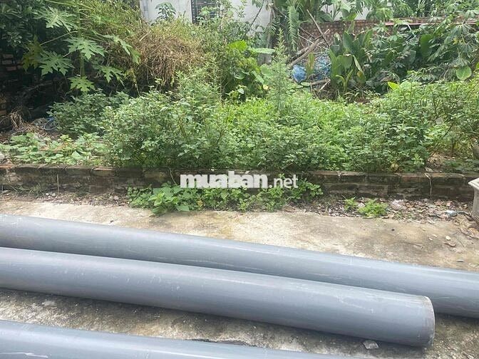 🌟 NAM HỒNG – THIÊN LỘC ( Đông Anh )– LÔ ĐẤT ĐẸP 48m², MẶT TIỀN 6.4m, Ô