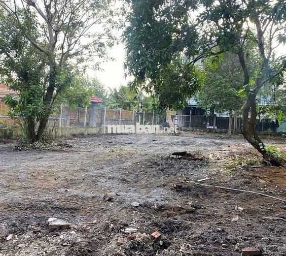 🌳 BÁN LÔ GÓC NGANG 13m x DÀI 30m (400m²) – AN SƠN 24 – 4,9 TỶ 🌳