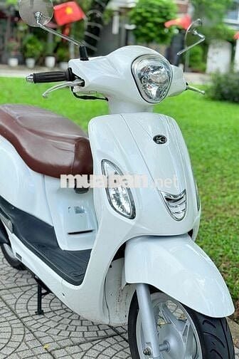 Like 50cc biển 43. xe lột keo máy rin nguyên