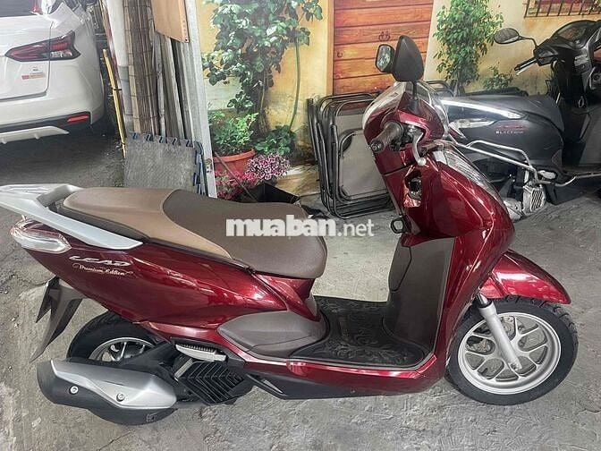 lead cọp 2024 nhà dùng it di