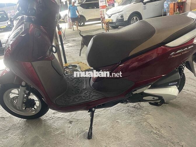 lead cọp 2024 nhà dùng it di