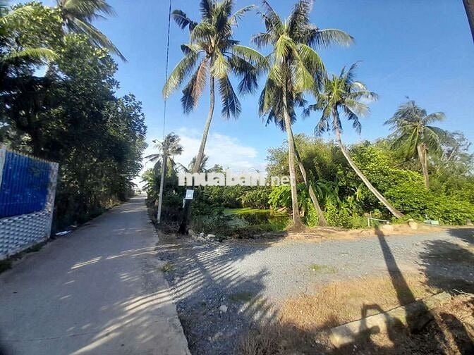 Bán gấp, 160m2 đất thổ cư 6 x 26.6m đường nguyễn thị tầm, 590tr