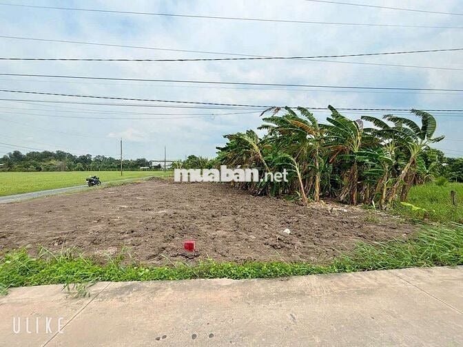 5,5×20 THỔ 100% GIÁ 420tr ,, ĐƯỜNG ÔTÔ ,TÂN TRỤ LONG AN