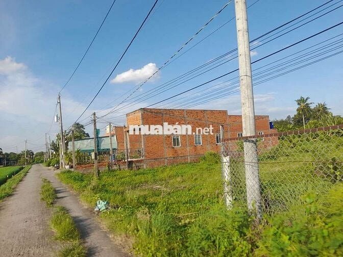 Bán gấp, 160m2 đất thổ cư 6 x 26.6m đường nguyễn thị tầm, 590tr