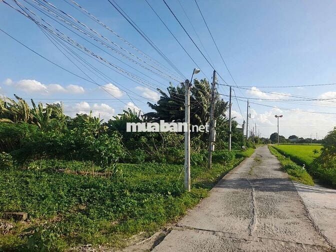 Bán gấp, 160m2 đất thổ cư 6 x 26.6m đường nguyễn thị tầm, 590tr