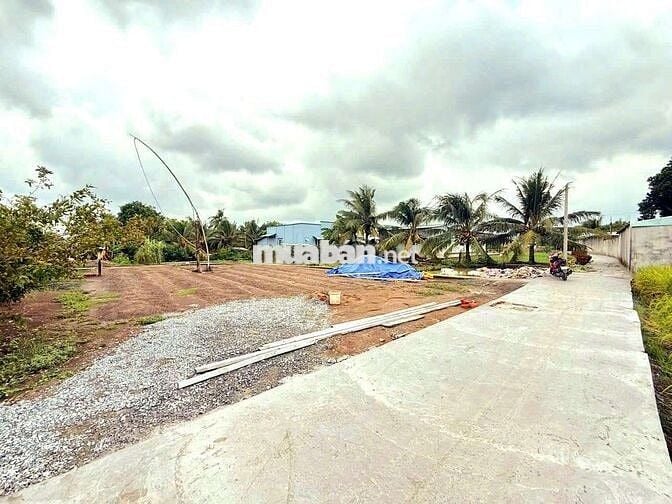 Bán gấp, 160m2 đất thổ cư 6 x 26.6m đường nguyễn thị tầm, 590tr