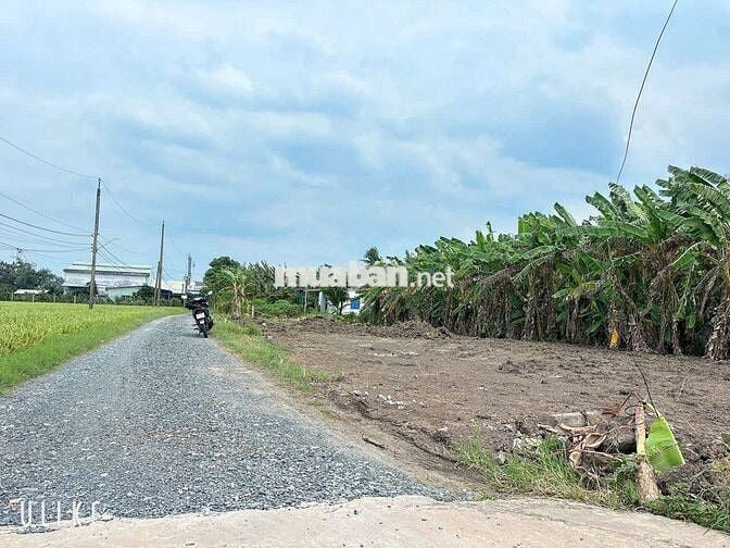 Đất nền thổ cư dt 5,5x20m giá 420tr.bình lãng tân trụ long an
