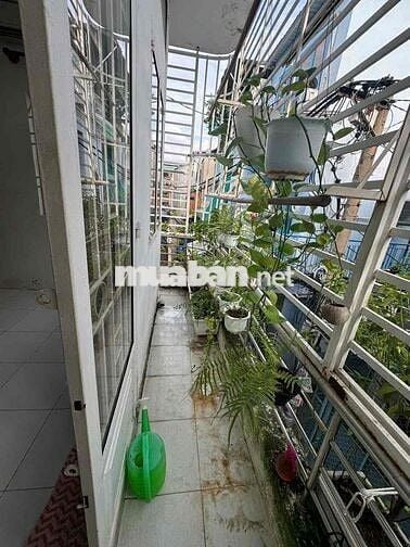 Ccg nhà cho thuê hẻm 737 Lạc Long Quân, P. Bảy Hiền (P10 cũ) Dt: 3,5 x