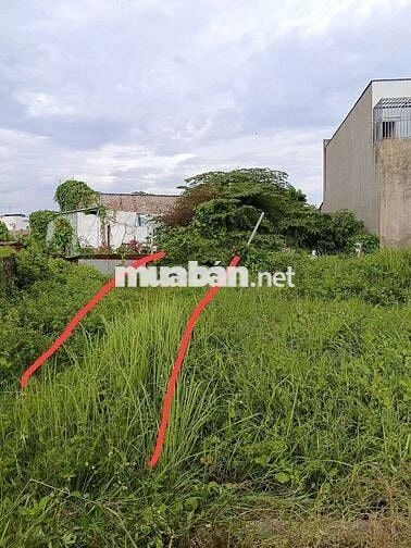 Cần tiền gấp bán rẻ miếng đất không sử dụng