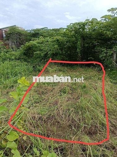 Cần tiền gấp bán rẻ miếng đất không sử dụng