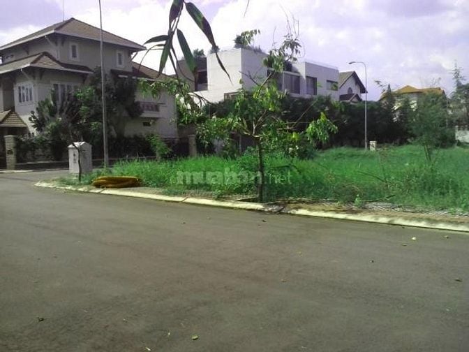 20 nền đất đầu tư Gần sông Giồng, Giá 4.5 tỷ / 80m2 . SỔ RIÊNG