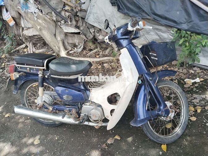 Cần bán cup 82 50cc