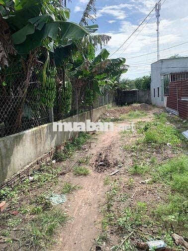 Đất sổ đỏ chung đường Dưỡng thị Phua Cu Chi