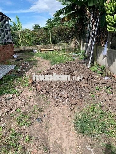 Đất sổ đỏ chung đường Dưỡng thị Phua Cu Chi