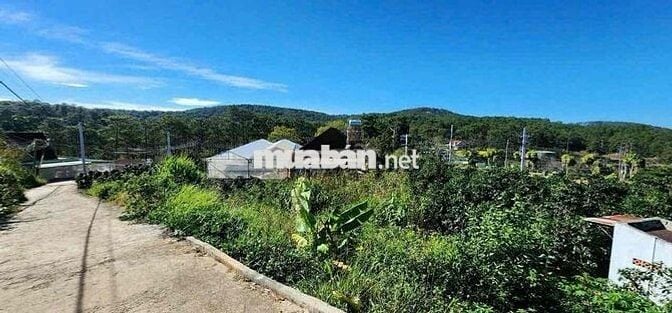 chính chủ bán đất xuân thọ đà lạt