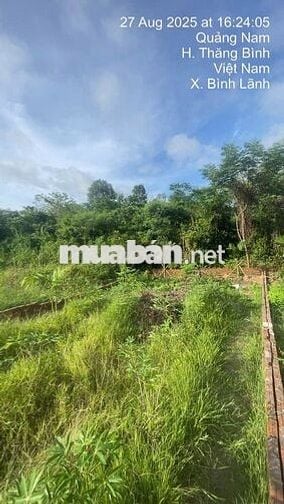 Bán lô đất đẹp chính chủ.Thăng Bình, Đà Nẵng. 280m ngang 10, 450 triệu