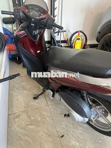 sh ý 212 đập thùng nguyên con nguyên zin