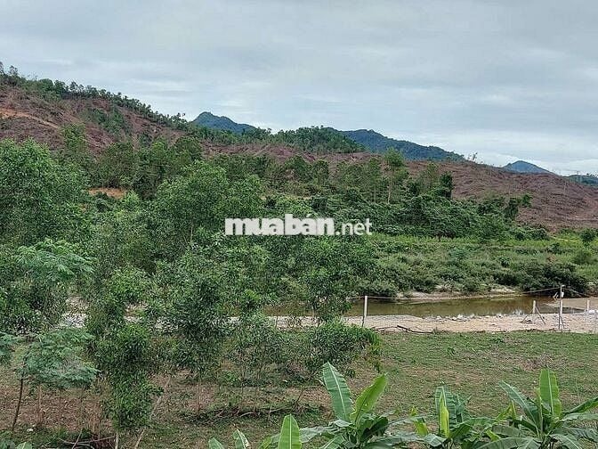 Bán đất vườn mặt tiewfn đường nhựa 5m. Ngay sau sân gol bà nà hill