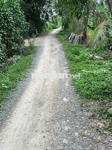 [Chính chủ] Bán 5 Công đất thị xã Bình Minh - 15p tới Cần Thơ