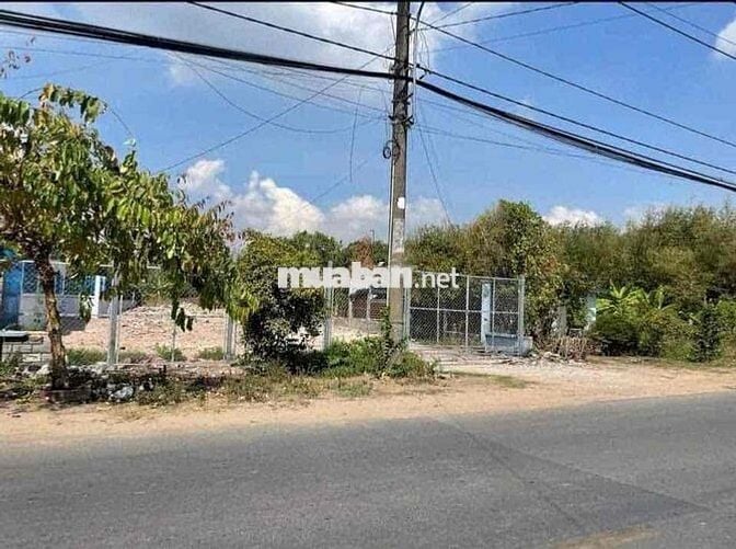 Chú Thím 5 cần tiền Lo Việc Gia Đình nên bán miếng đất