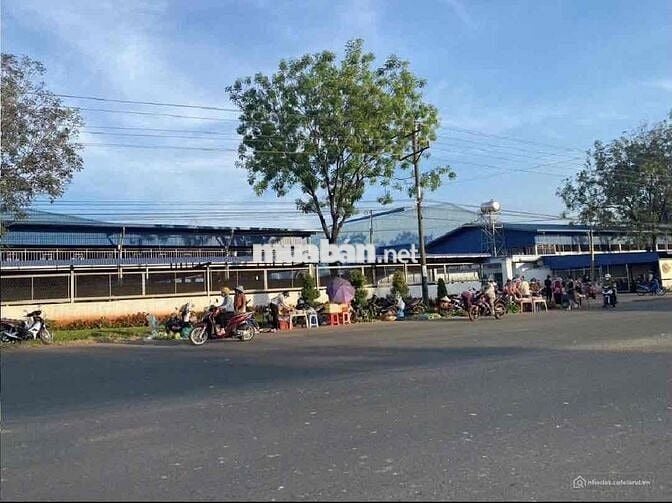 Chú Thím 5 cần tiền Lo Việc Gia Đình nên bán miếng đất