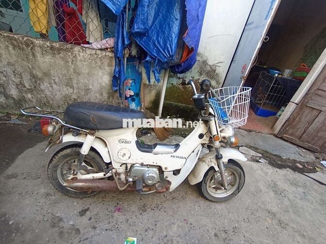 Xe chaly 50