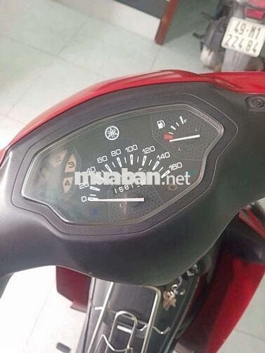 Xe gia đình