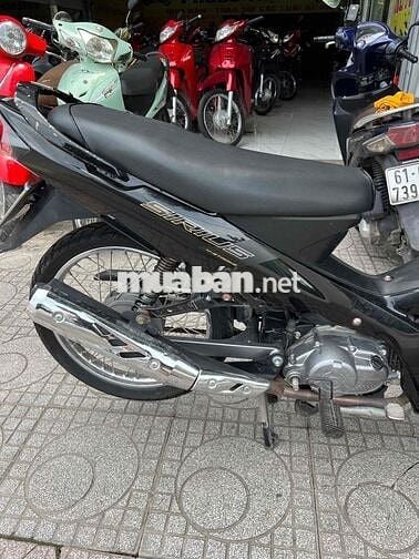cần bán si kiễng 2023 giá rẻ