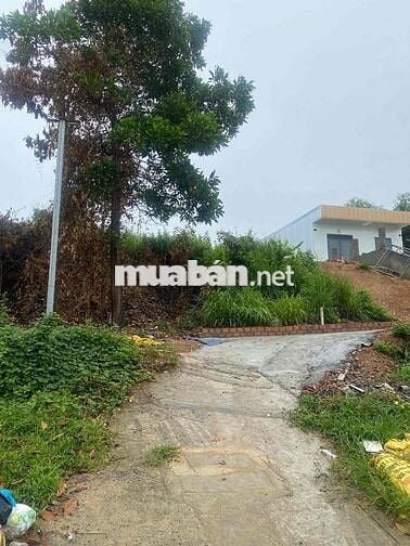 Đất đường ô tô ngay chợ Hoà Thọ Tây 150m2 đất ở