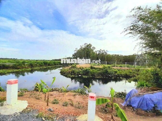 Hàng thơm, 1000m2 đất thổ View Kênh cực đẹp, 1.55 tỷ