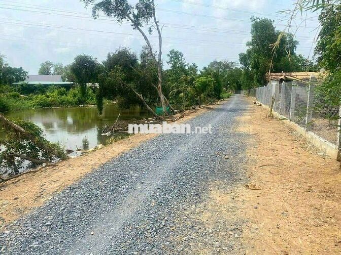 Hàng thơm, 1000m2 đất thổ View Kênh cực đẹp, 1.55 tỷ